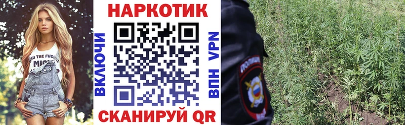 Цена Асино Alpha-PVP МЕФ Метамфетамин Гашиш