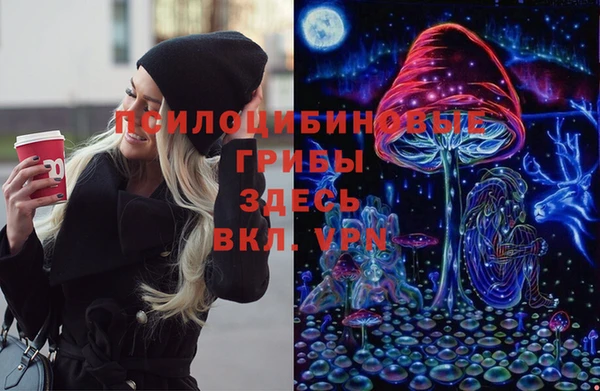 спиды Покровск