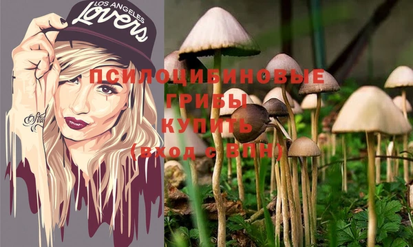 прущие крисы Аркадак
